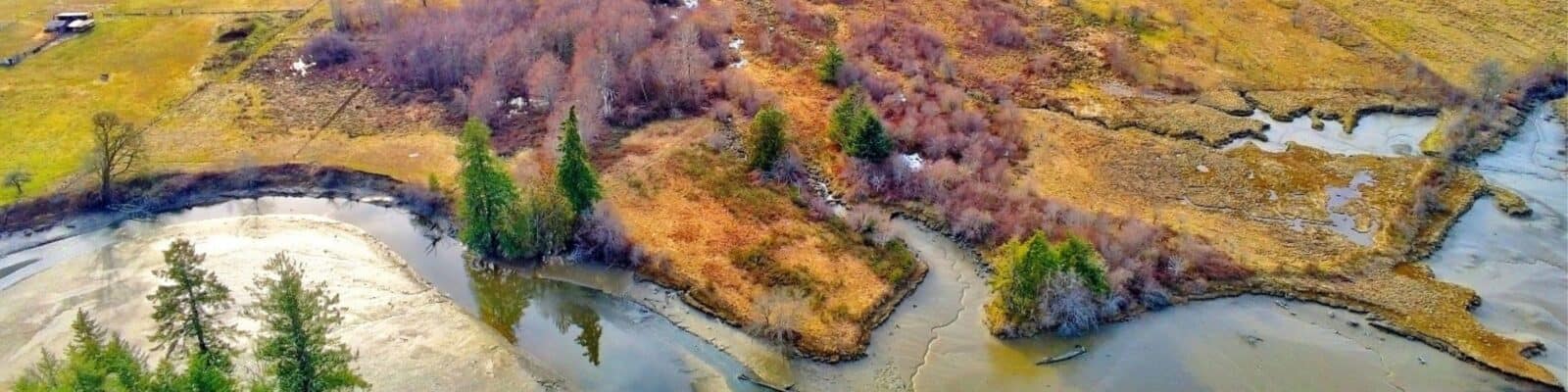 Mud Bay shoreline