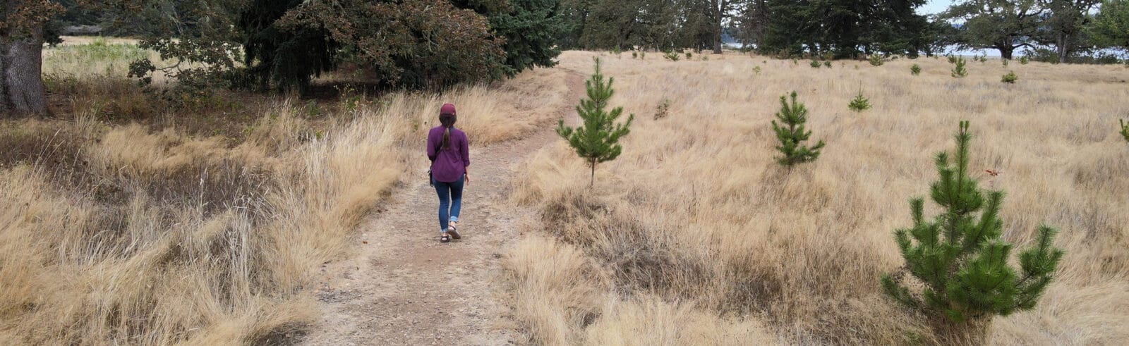 person walking on a trail