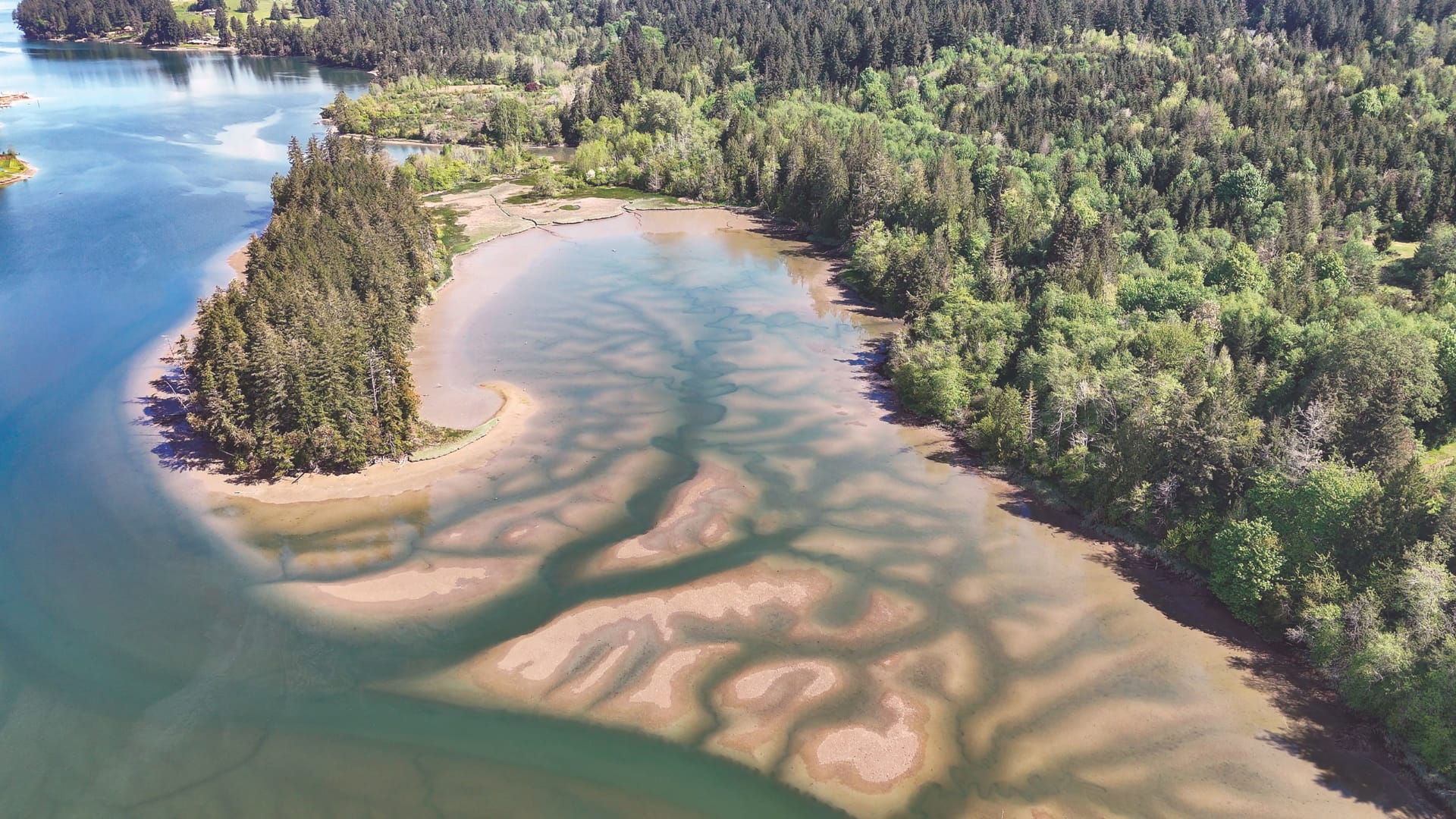 Inspiring Kids Preserve is a piece of protected land in Olympia.