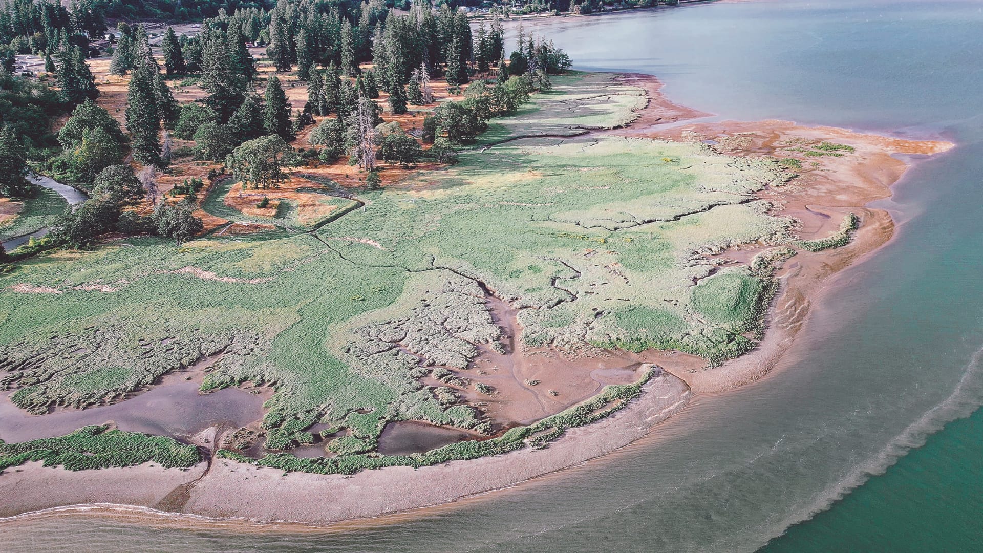 Bayshore Preserve is a piece of protected land in Olympia.