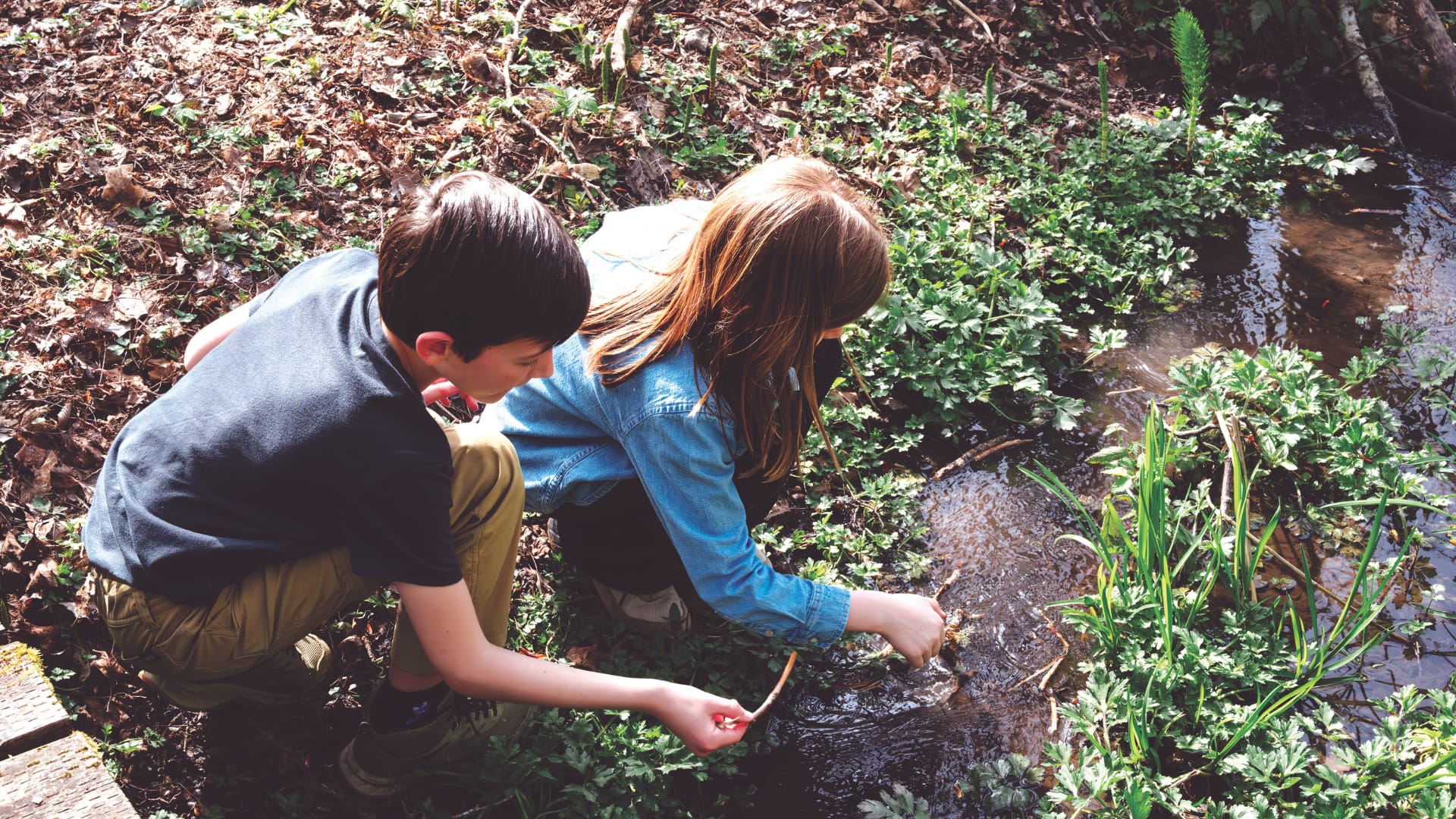 Children playing at Inspiring Kids Preserve in Olympia, WA.