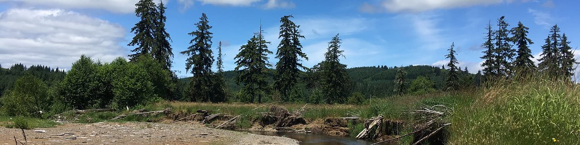 Stillman Creek Riparian Preserve