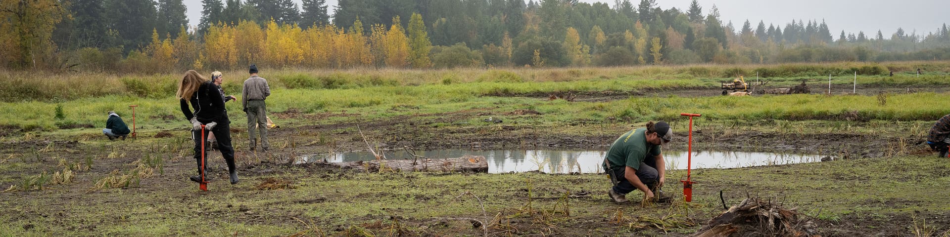 people on the landscape planting