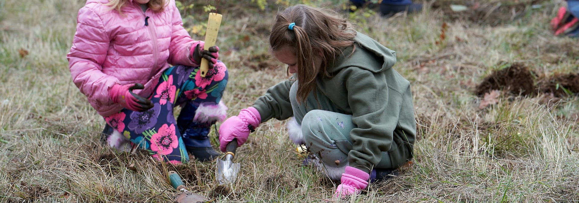 little girl planting in a grassy field.