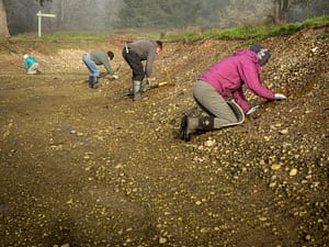 Volunteer restoration event at Bayshore Preserve.