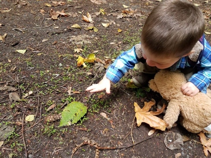 Look down to see the forest