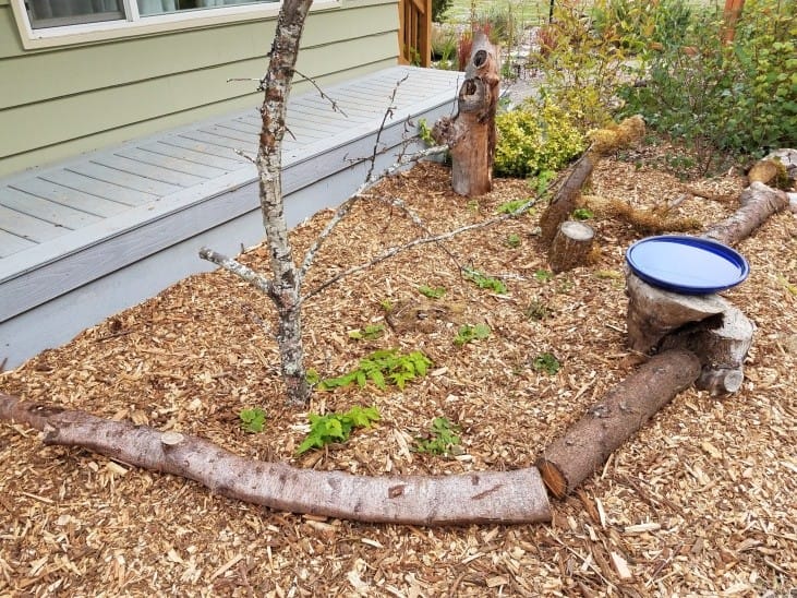 Forest floor restoration with wood chips